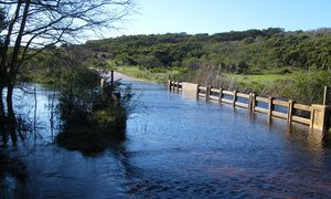 Oue gegroet Nuwe Verwelkom